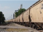 Grain cars on siding into Grain Elevator looking North